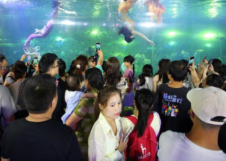 Aquarium Tour 40