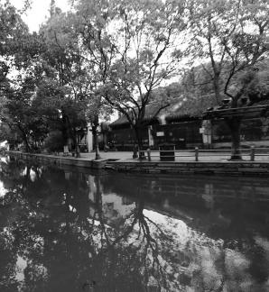 My Jiangnan 45