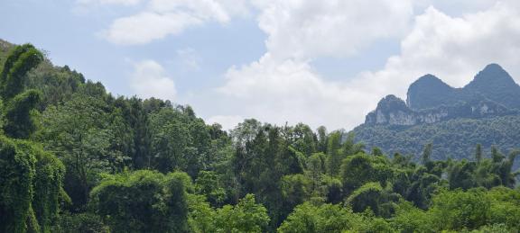 Yangshuo Scenery 23