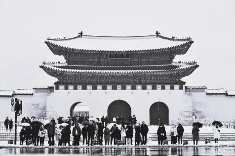 Travelers in front of Gwanghwamun