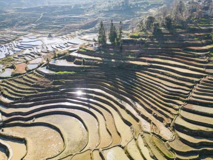 Yunnan terraced fields