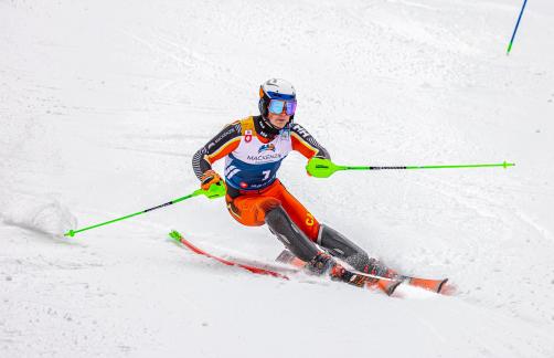Ski Race 99