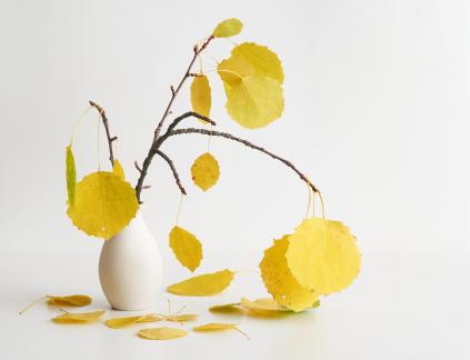 Still life with yellow leaves 3