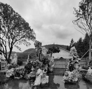 rockery 2