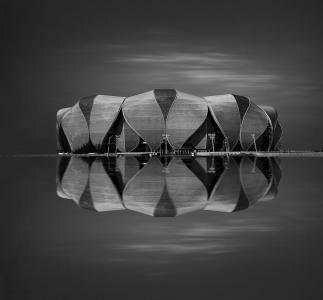Lotus Reflection