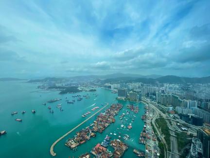 ICC birds  view