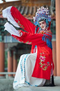 Opera lady