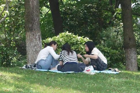 Have a picnic