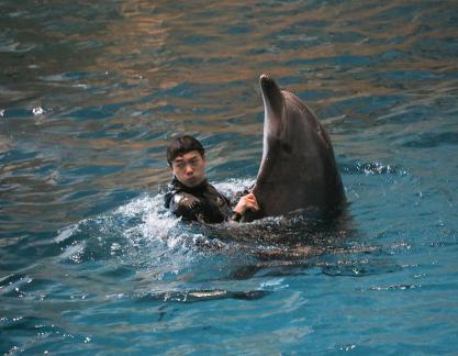 Marine Animal Performance 22