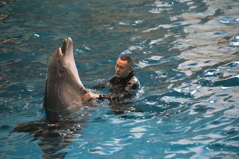 Marine Animal Performance 24
