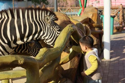 Hey zebra 5