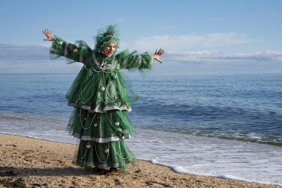 Christmas tree and the sea