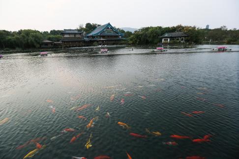 Visit the ancient city 86