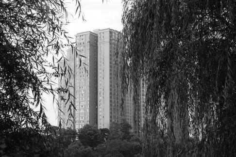 Red Wall Green Willow 1