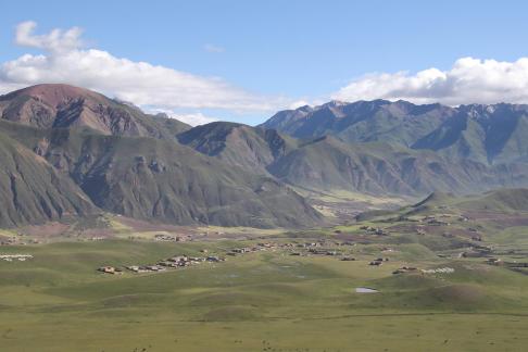 Tianlu Weaving Brocade 14