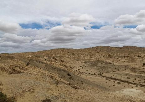 Breath of the Wilderness 14