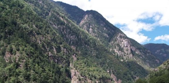 Green hills will always remain 1