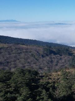 Blue Sky Cloud Gully 2