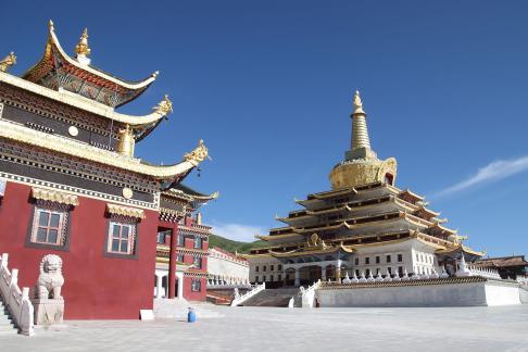 Human Buddhist Kingdom 1