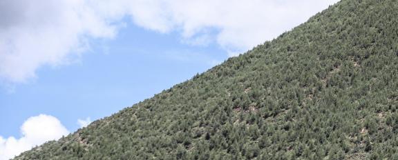 Yuanpo Flowing Clouds 7