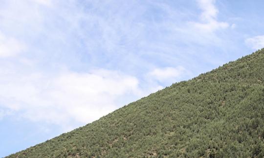 Yuanpo Flowing Clouds 9