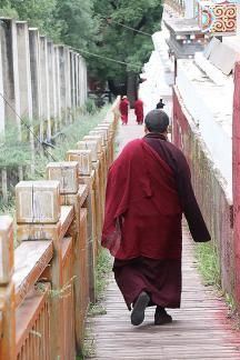 March toward the light 7