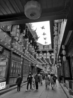 The First Street of Xishu 8