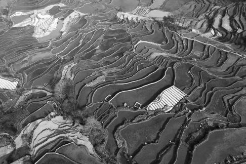 Terraced fields scenery 8