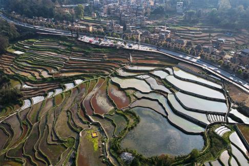 Terraced fields scenery 10