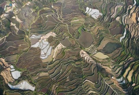 Terraced fields scenery 15