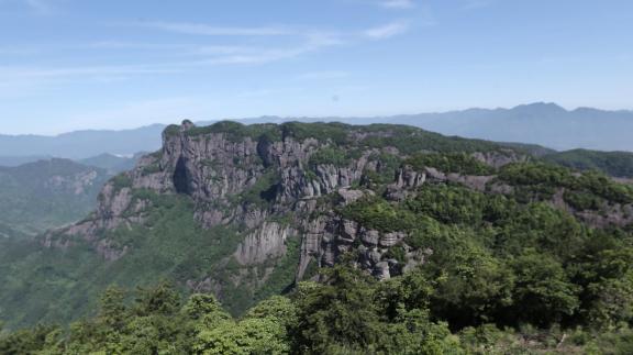 Green environment 15