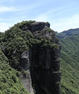 Green between cliffs 20