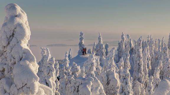 Top of Koli
