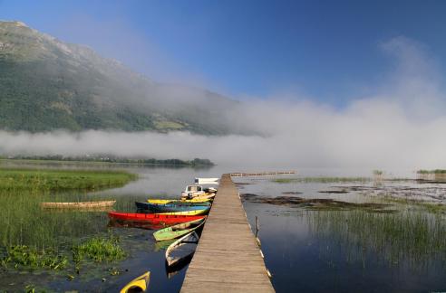 Morning fog over the lake