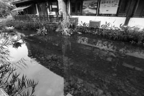 The House by the River 5