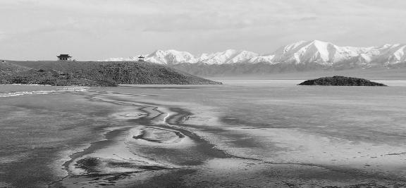 Sleeping Snow in Cold Pond 9