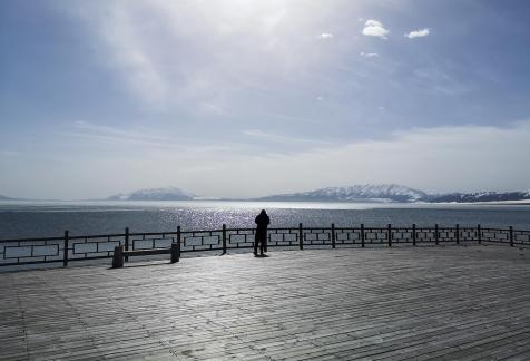 Under the Cloud Dome 2