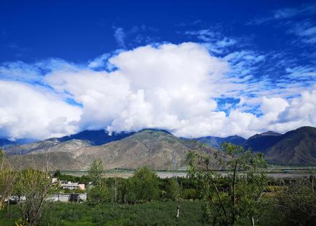 Yunmu Green Field 62