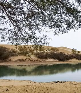 Shallow pond reflecting autumn 6