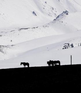 Mountain Trail Watching Snow 9