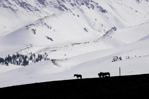 Mountain Trail Watching Snow 10