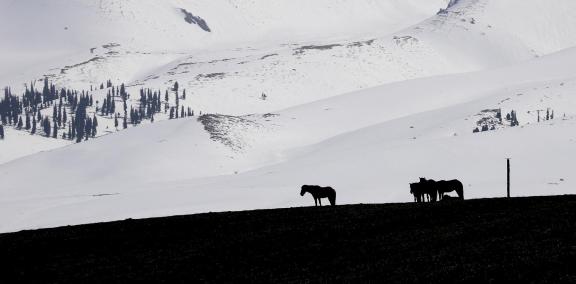 Mountain Trail Watching Snow 11