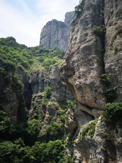 Green Wilderness and Tranquility 21