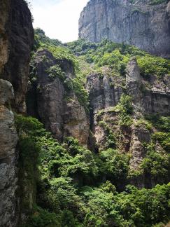 Green Wilderness and Tranquility 23