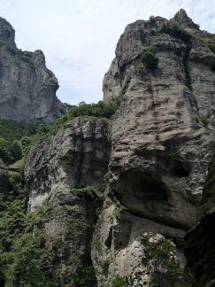 Green Wilderness and Tranquility 24