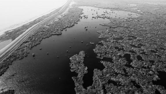 Ice Lake Reed Path Book 13