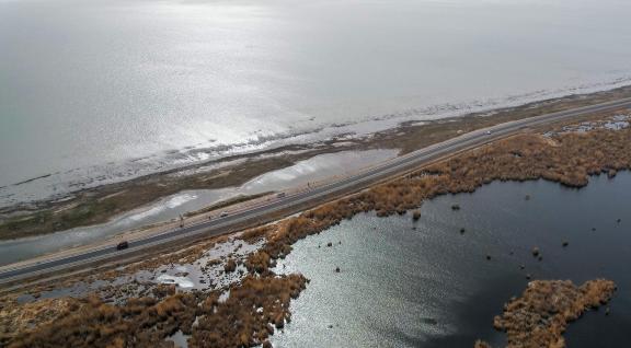 Ice Lake Reed Path Book 17