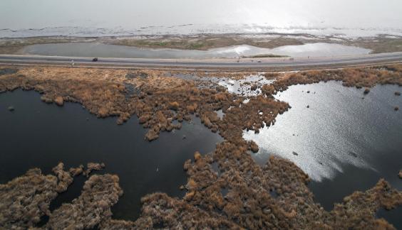 Ice Lake Reed Path Book 18