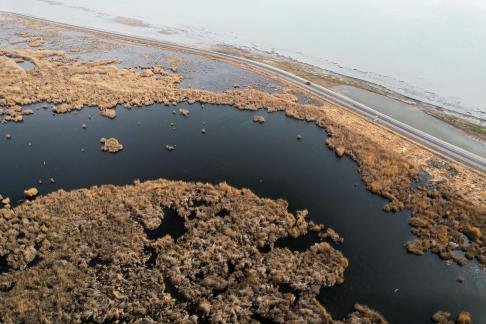 Ice Lake Reed Path Book 20