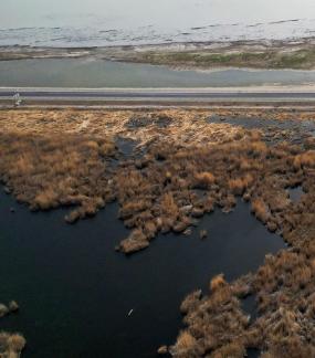 Ice Lake Reed Path Book 23